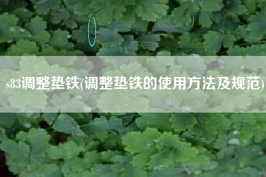 s83<a href='http://www.wuliutianxia.com/jichuangdiantiexilie/' target='_blank' title='調(diào)整墊鐵' ><strong>調(diào)整墊鐵</strong></a>(調(diào)整墊鐵的使用方法及規(guī)范)